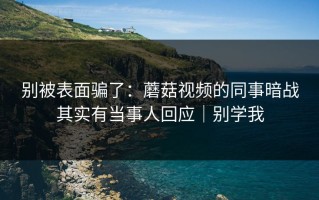 别被表面骗了：蘑菇视频的同事暗战其实有当事人回应｜别学我
