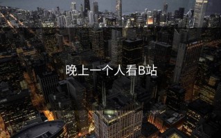 晚上一个人看B站