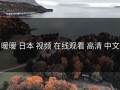 暖暖 日本 视频 在线观看 高清 中文