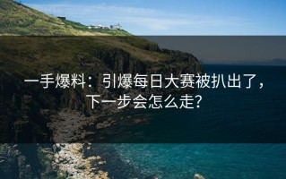一手爆料：引爆每日大赛被扒出了，下一步会怎么走？