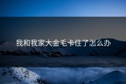 我和我家大金毛卡住了怎么办