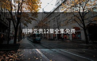 明神亚贵12集全集免费