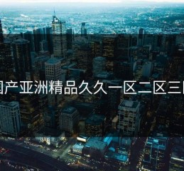 国产亚洲精品久久一区二区三区