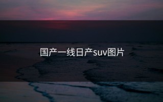 国产一线日产suv图片