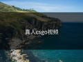 真人csgo视频