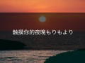 触摸你的夜晚もりもより