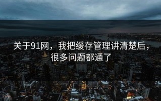 关于91网，我把缓存管理讲清楚后，很多问题都通了