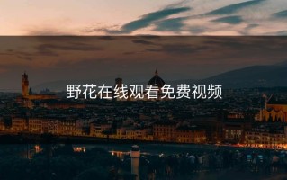 野花在线观看免费视频