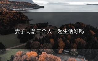 妻子同意三个人一起生活好吗