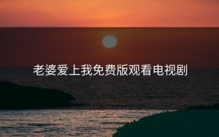 老婆爱上我免费版观看电视剧