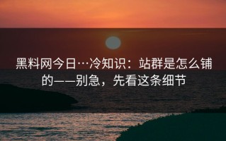 黑料网今日…冷知识：站群是怎么铺的——别急，先看这条细节